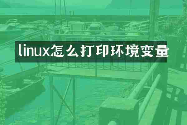 linux怎么打印环境变量