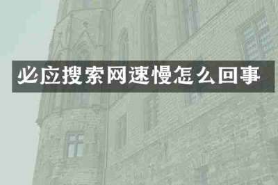 必应搜索网速慢怎么回事