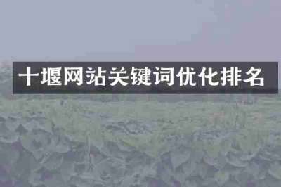 十堰网站关键词优化排名