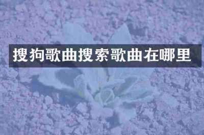 搜狗歌曲搜索歌曲在哪里