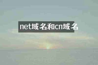 net域名和cn域名