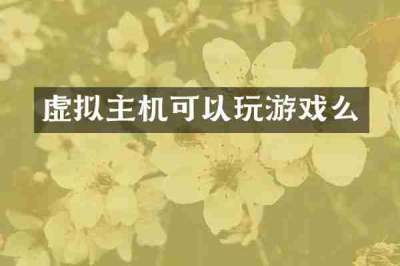 虚拟主机可以玩游戏么