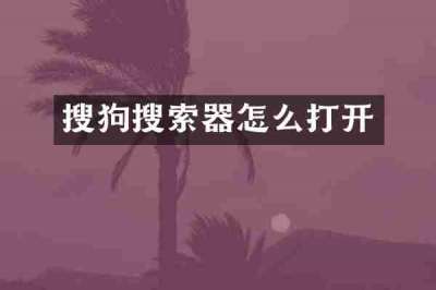 搜狗搜索器怎么打开