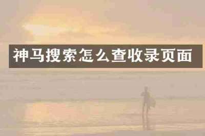 神马搜索怎么查收录页面
