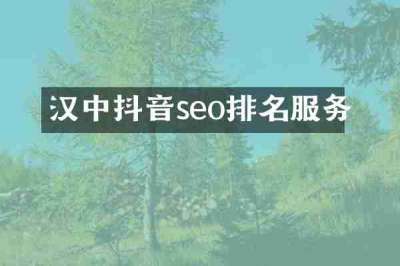 汉中抖音seo排名服务