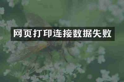 网页打印连接数据失败