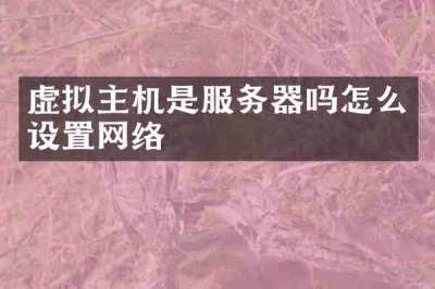 虚拟主机是服务器吗怎么设置网络