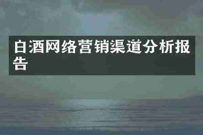 白酒网络营销渠道分析报告
