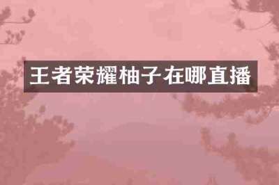 王者荣耀柚子在哪直播