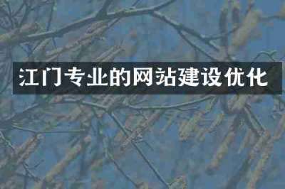 江门专业的网站建设优化