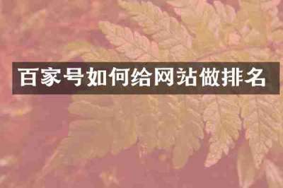 百家号如何给网站做排名