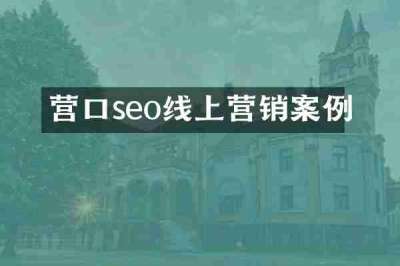 营口seo线上营销案例