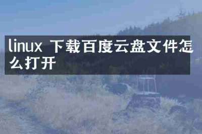 linux 下载百度云盘文件怎么打开