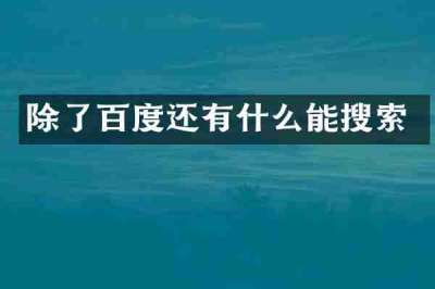 除了百度还有什么能搜索