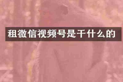 租微信视频号是干什么的