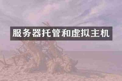 服务器托管和虚拟主机