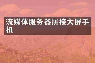 流媒体服务器拼接大屏手机