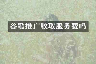 谷歌推广收取服务费吗