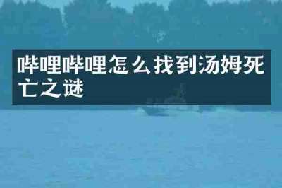 哔哩哔哩怎么找到汤姆死亡之谜