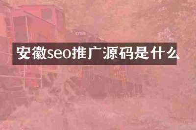 安徽seo推广源码是什么