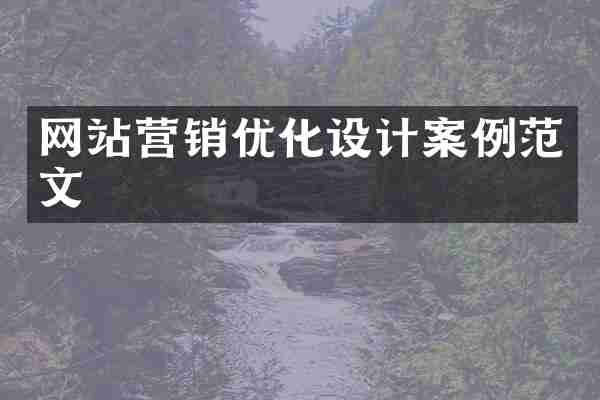 网站营销优化设计案例范文