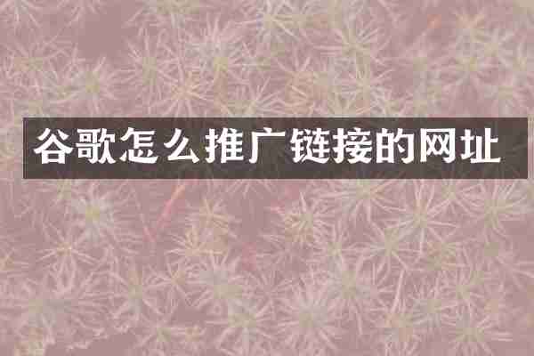 谷歌怎么推广链接的网址