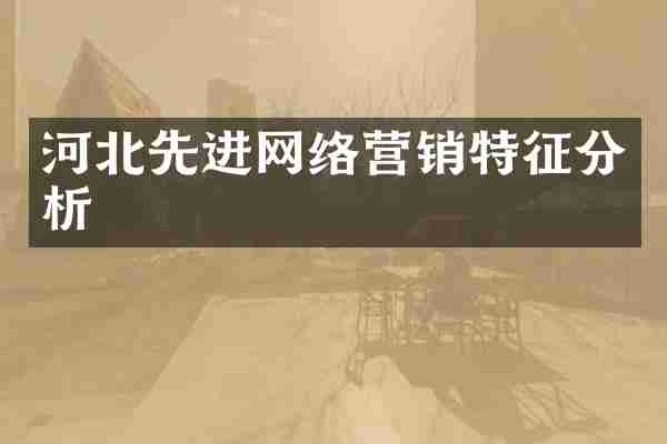 河北先进网络营销特征分析