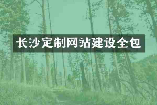 长沙定制网站建设全包