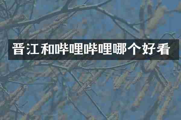 晋江和哔哩哔哩哪个好看