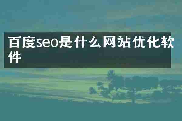 百度seo是什么网站优化软件