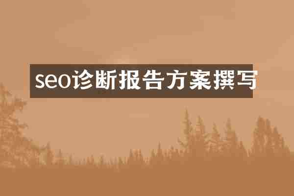 seo诊断报告方案撰写