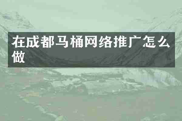 在成都马桶网络推广怎么做