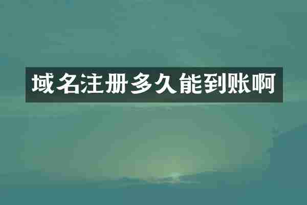 域名注册多久能到账啊