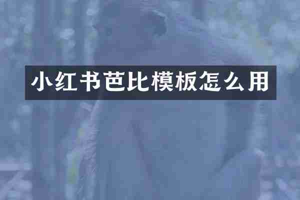 小红书芭比模板怎么用
