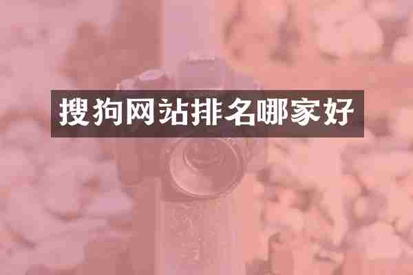 搜狗网站排名哪家好