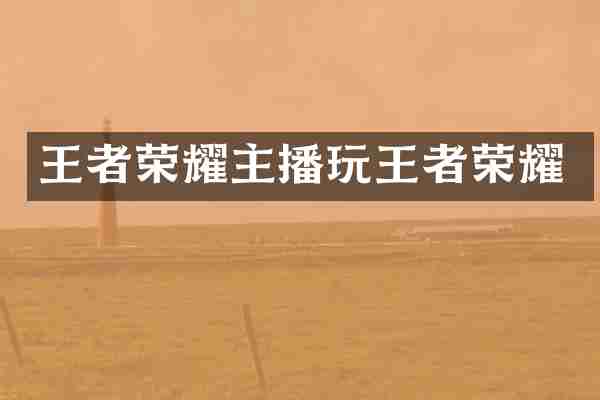 王者荣耀主播玩王者荣耀