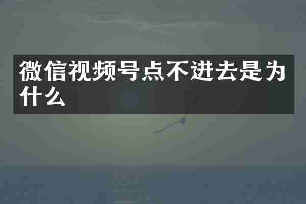 微信视频号点不进去是为什么