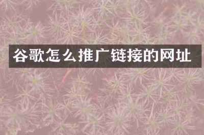 谷歌怎么推广链接的网址