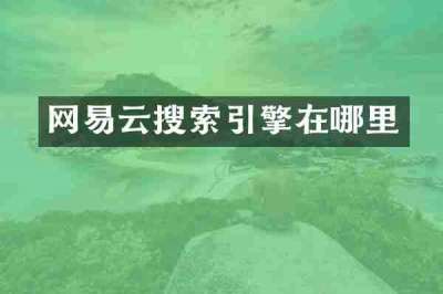 网易云搜索引擎在哪里