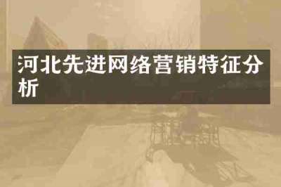 河北先进网络营销特征分析