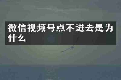 微信视频号点不进去是为什么