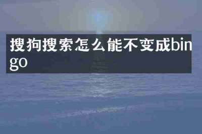 搜狗搜索怎么能不变成bingo