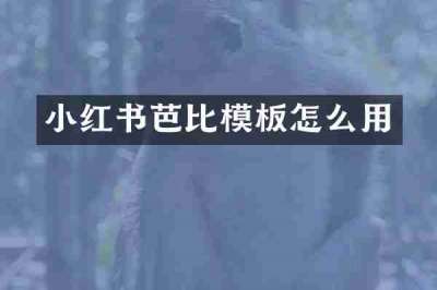 小红书芭比模板怎么用