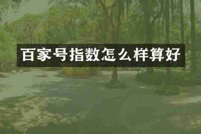百家号指数怎么样算好