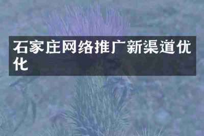 石家庄网络推广新渠道优化