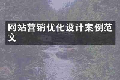 网站营销优化设计案例范文