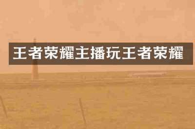 王者荣耀主播玩王者荣耀