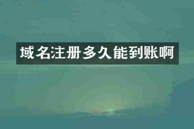 域名注册多久能到账啊