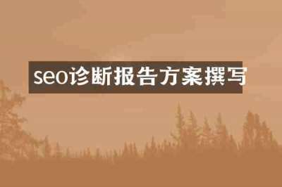 seo诊断报告方案撰写