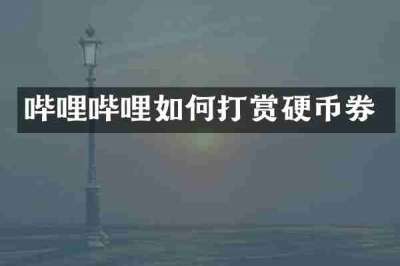 哔哩哔哩如何打赏硬币券